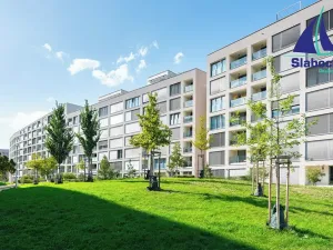 Pronájem bytu 1+kk, Praha - Karlín, Breitfeldova, 63 m2