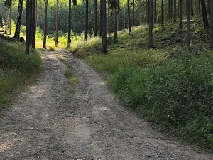 Prodej chaty, Újezd nade Mží, 90 m2