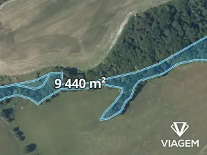 Prodej lesa, Nižbor, 9440 m2