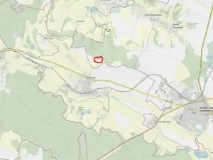 Prodej lesa, Ždírec nad Doubravou, 900 m2