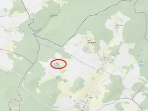 Prodej lesa, Horní Radouň, 4226 m2