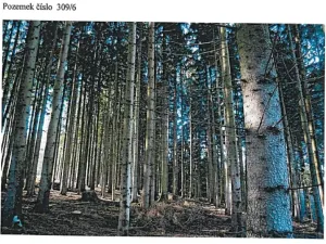 Prodej lesa, Ždírec nad Doubravou, 21716 m2