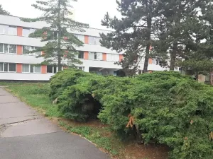 Prodej bytu 2+1, Praha - Kobylisy, Burešova, 62 m2