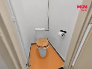Prodej bytu 1+1, Praha, Bělohorská, 43 m2