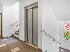 Pronájem bytu 1+kk, Praha - Kyje, Sicherova, 33 m2