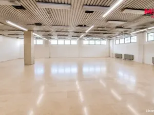 Pronájem obchodního prostoru, Havířov - Šumbark, Marie Pujmanové, 260 m2
