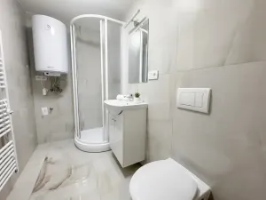 Prodej bytu 3+kk, Brno, Bolzanova, 49 m2