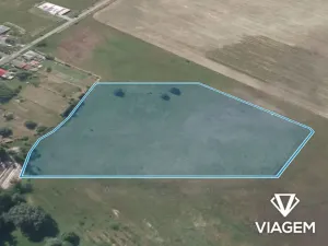 Prodej podílu pole, Horka I, 8080 m2