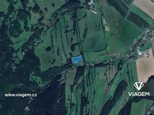 Prodej podílu lesa, Skorošice, 5773 m2