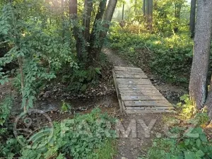 Prodej lesa, Mnichovice, 16432 m2