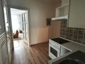 Pronájem bytu 2+kk, Praha - Vinohrady, Čáslavská, 48 m2