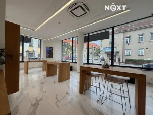 Pronájem obchodního prostoru, Prostějov, Svatoplukova, 106 m2