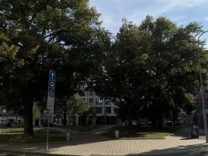 Pronájem bytu 3+1, Brno - Veveří, Antonínská, 118 m2
