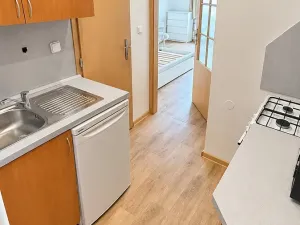 Pronájem bytu 1+kk, Praha - Michle, Brtnická, 30 m2