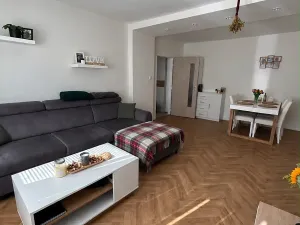 Pronájem bytu 2+1, Plzeň, Ke Špitálskému lesu, 60 m2