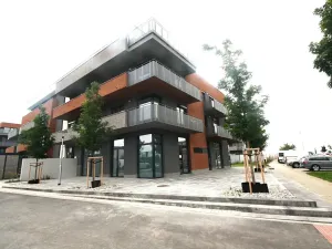 Pronájem bytu 2+kk, Praha, 60 m2
