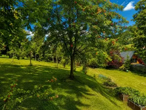Prodej chaty, Vrchlabí - Hořejší Vrchlabí, Pod Žalým, 125 m2