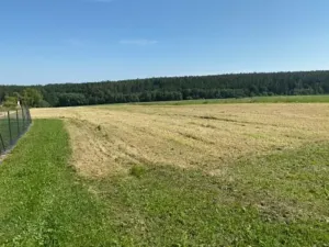 Prodej pozemku pro bydlení, Zbizuby, 8669 m2