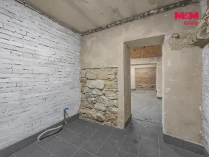 Prodej komerční nemovitosti, Praha, Seifertova, 110 m2