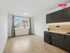 Pronájem bytu 1+kk, Nové Strašecí, Viktora Olivy, 27 m2