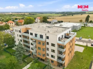 Pronájem bytu 1+kk, Nové Strašecí, Viktora Olivy, 27 m2