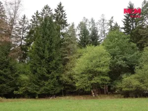 Prodej lesa, Chanovice - Újezd u Chanovic, 1762 m2
