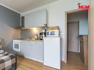 Pronájem bytu 1+kk, Mariánské Lázně - Úšovice, Česká, 20 m2