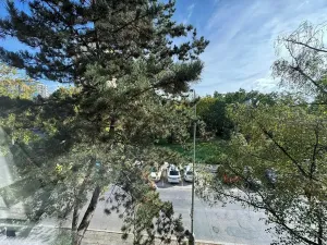 Pronájem bytu 2+1, Praha - Kobylisy, Březiněveská, 80 m2