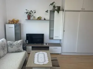 Pronájem bytu 1+kk, Ostrava, Horní, 35 m2