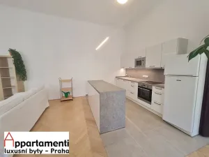 Pronájem bytu 2+kk, Praha - Nové Město, Štěpánská, 65 m2