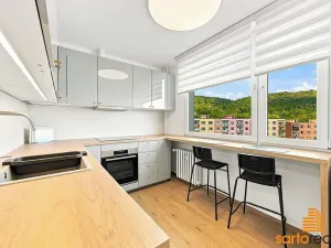 Prodej bytu 1+1, Ústí nad Labem, Jizerská, 42 m2