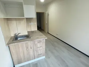 Pronájem bytu 1+kk, Praha - Hlubočepy, Na Zlíchově, 18 m2