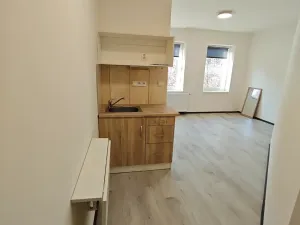 Pronájem bytu 1+kk, Praha - Hlubočepy, Na Zlíchově, 18 m2