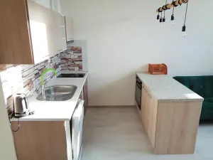 Pronájem bytu 2+kk, Janovice nad Úhlavou, Rozvojová zóna, 44 m2