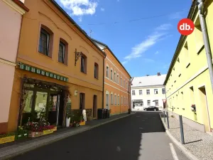 Pronájem bytu 2+kk, Toužim, Farní, 40 m2