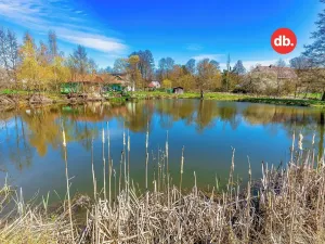 Prodej rybníku, Sadov, 4133 m2