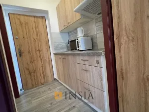 Prodej bytu 1+kk, Český Krumlov - Nové Spolí, 20 m2