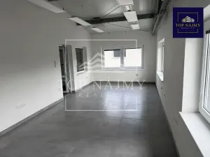 Pronájem skladu, Ostrava, Opavská, 501 m2