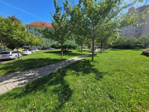 Prodej bytu 2+1, Kynšperk nad Ohří, náměstí SNP, 55 m2