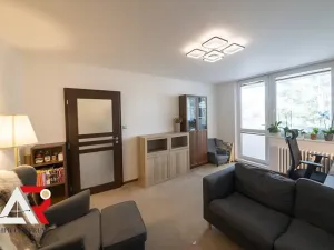 Prodej bytu 2+1, Brno, Luční, 50 m2