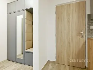 Pronájem bytu 2+kk, Chomutov, Holešická, 42 m2