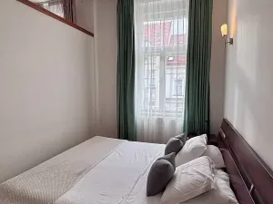 Prodej bytu 1+1, Praha - Vinohrady, Anny Letenské, 50 m2