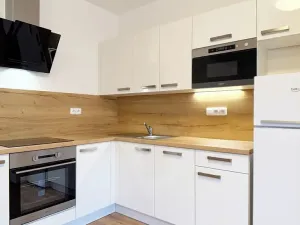 Pronájem bytu 3+kk, Brno, Pod Mniší horou, 61 m2