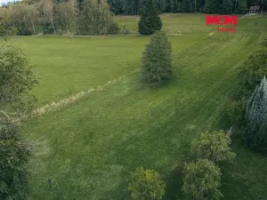 Prodej pozemku pro bydlení, Chudenín - Skelná Huť, 1000 m2
