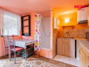 Prodej chaty, Týn nad Vltavou, Račina, 32 m2
