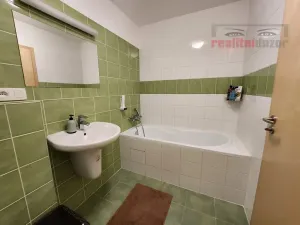 Prodej bytu 1+kk, Říčky v Orlických horách, 55 m2