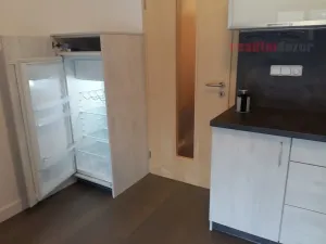 Prodej bytu 1+kk, Říčky v Orlických horách, 55 m2