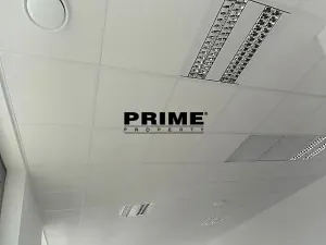 Pronájem kanceláře, Praha - Smíchov, Strakonická, 52 m2
