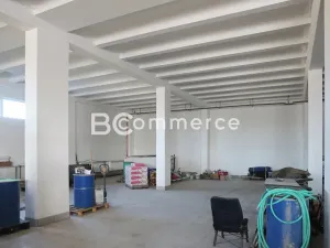 Pronájem skladu, Brno, 880 m2