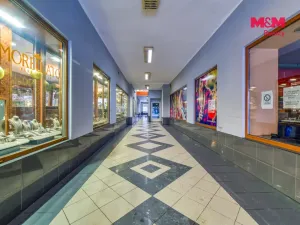 Pronájem bytu 2+1, Cheb, Svobody, 72 m2
